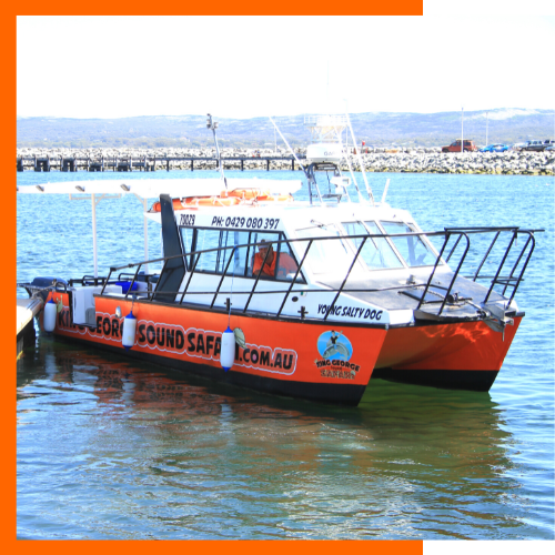 Captain Mark Muscat in the Young Salty Dog