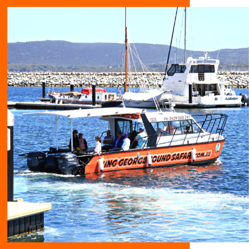 The Young Salty Dog heading out of Albany Marina for another cruise